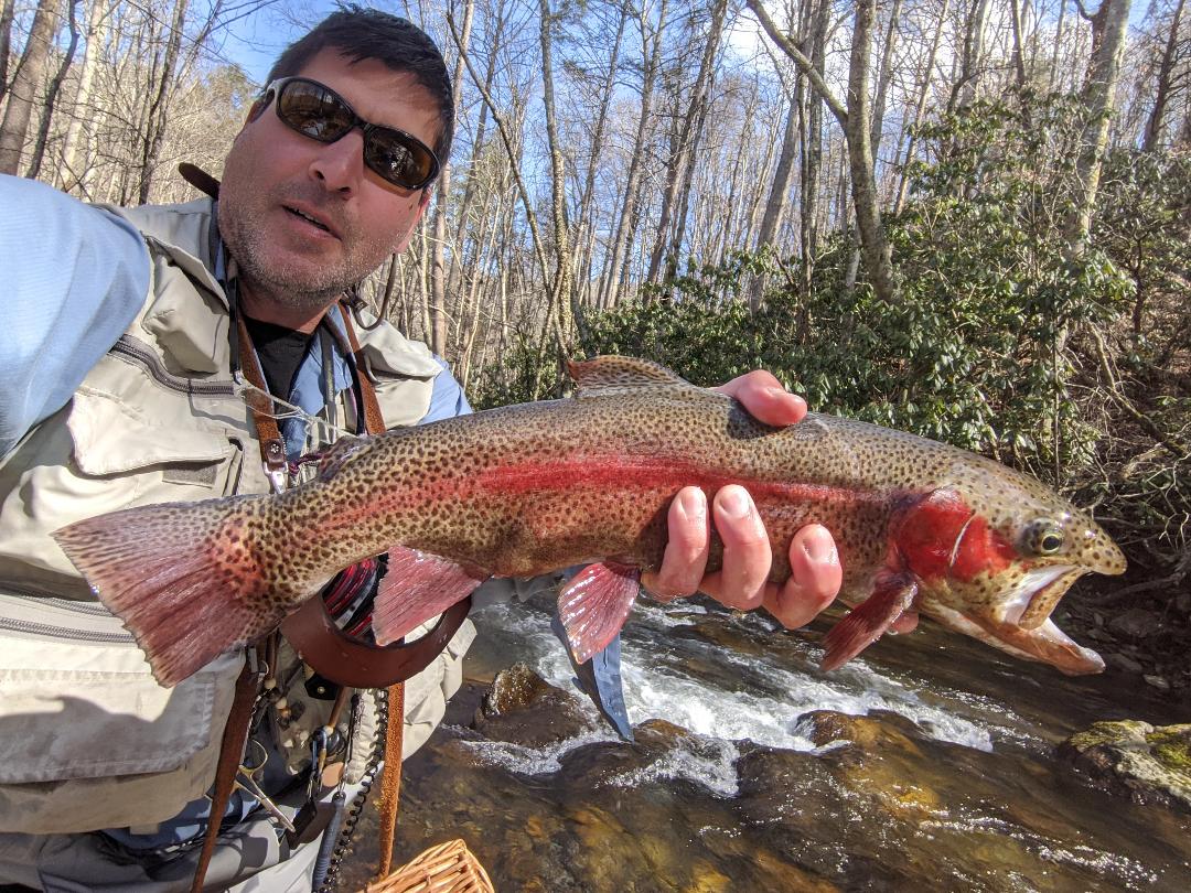 Books - Trails To Trout