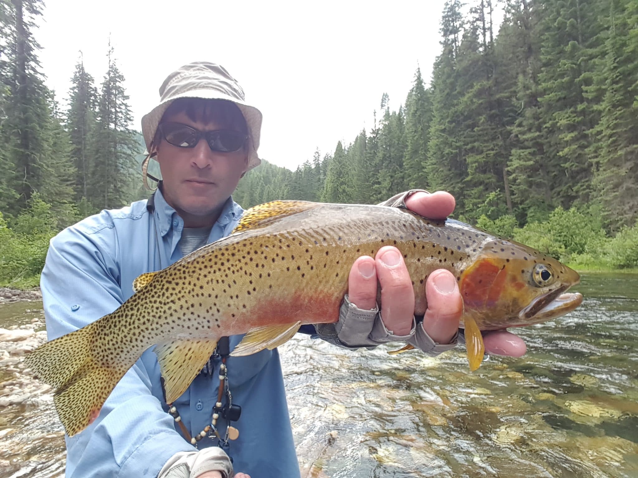 Fly Fishing the St. Joe River in Idaho The Ultimate Trip Save Quit Fish