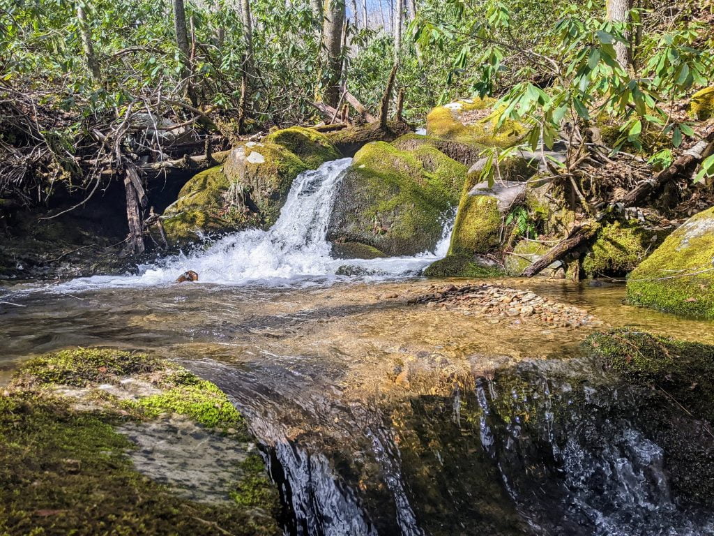 Waterfall, Rocky Fork, the Headwaters