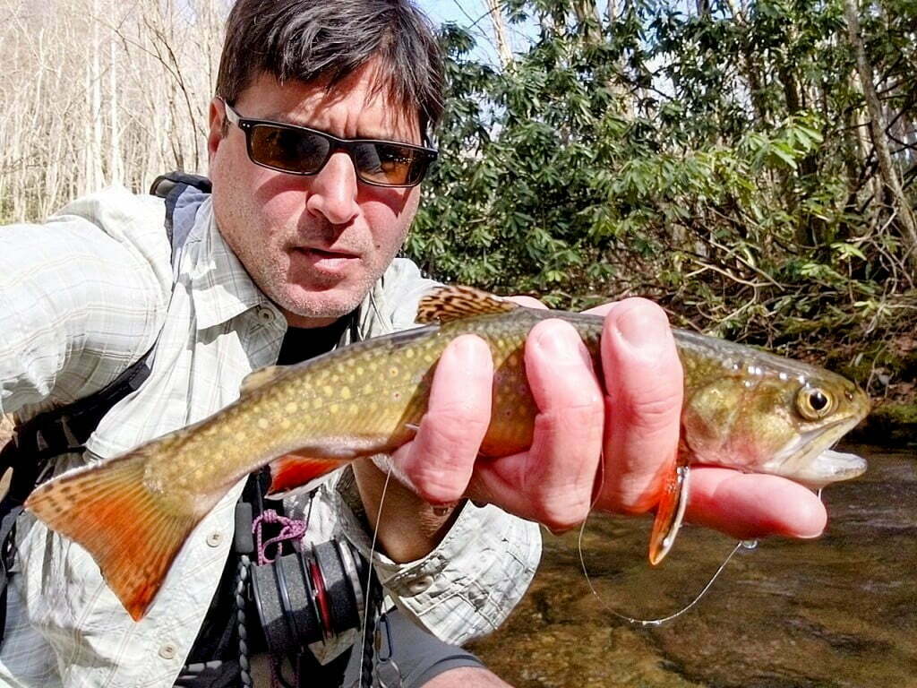 Rocky Fork brook trout
