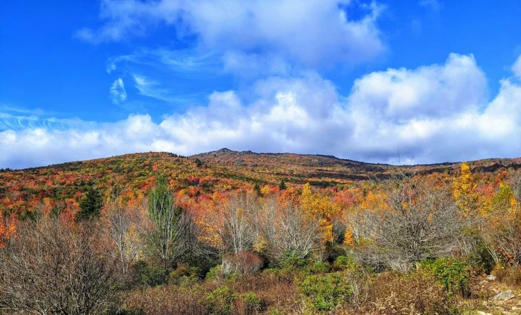 The Fall leaves are spectacular when backpacking Grayson Highlands.