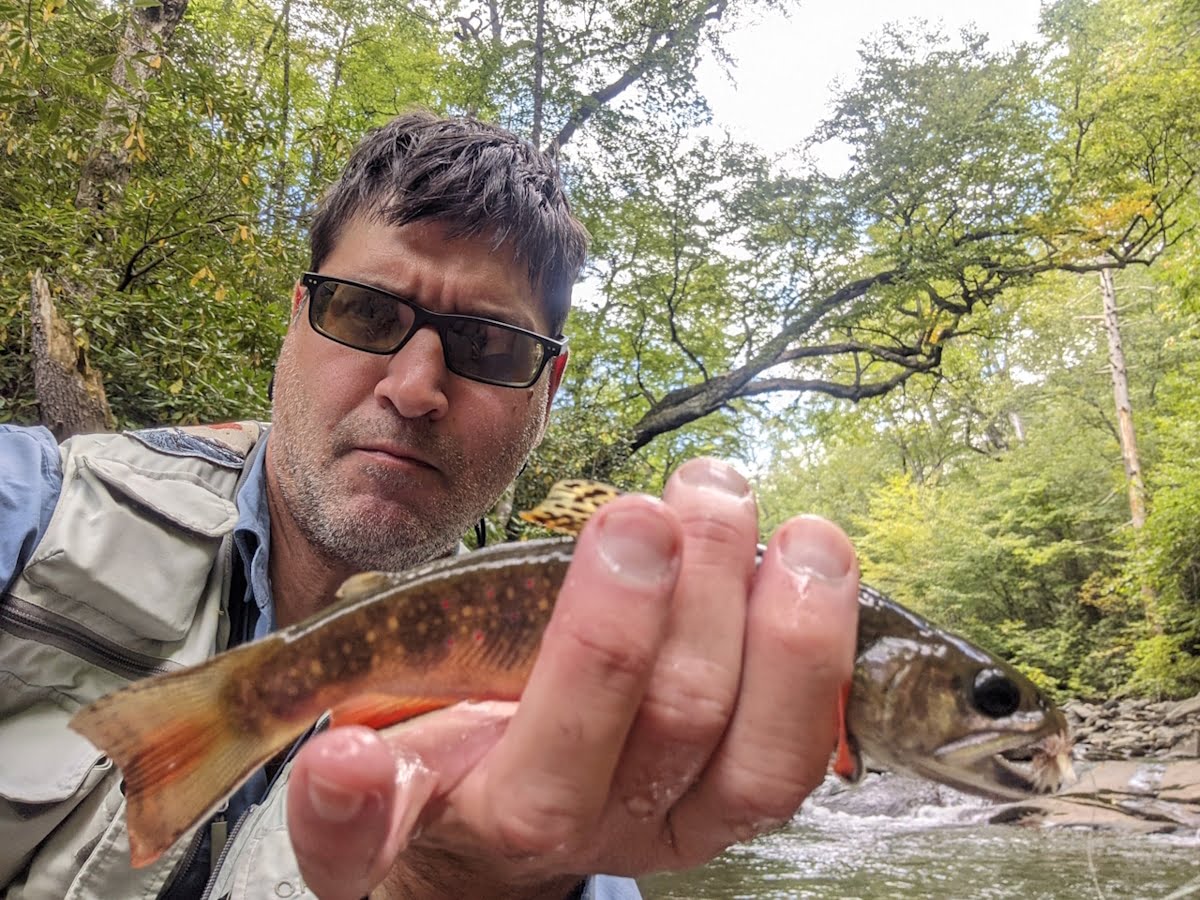 Fly Fishing Bradley Fork Save Quit Fish