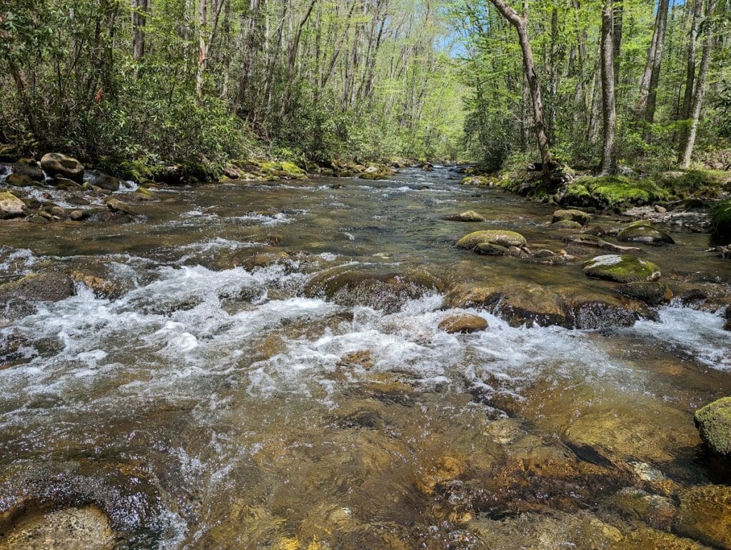 Deep Creek is a renowned trout fishing stream.