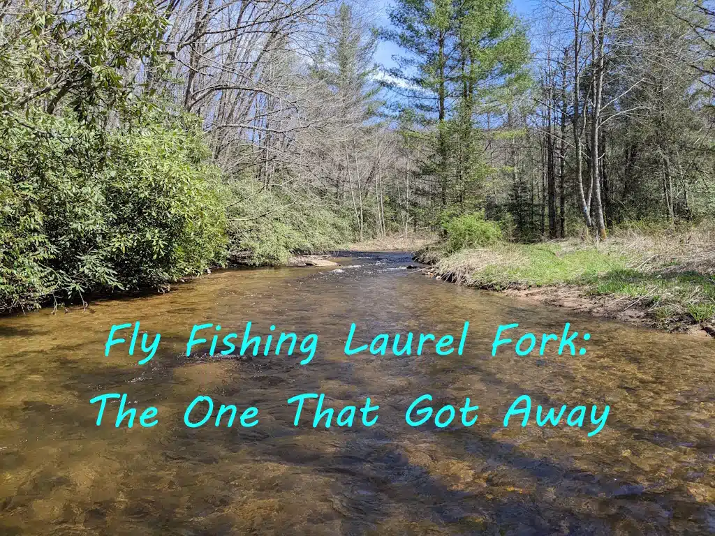 Fly Fishing Laurel Fork, TN.