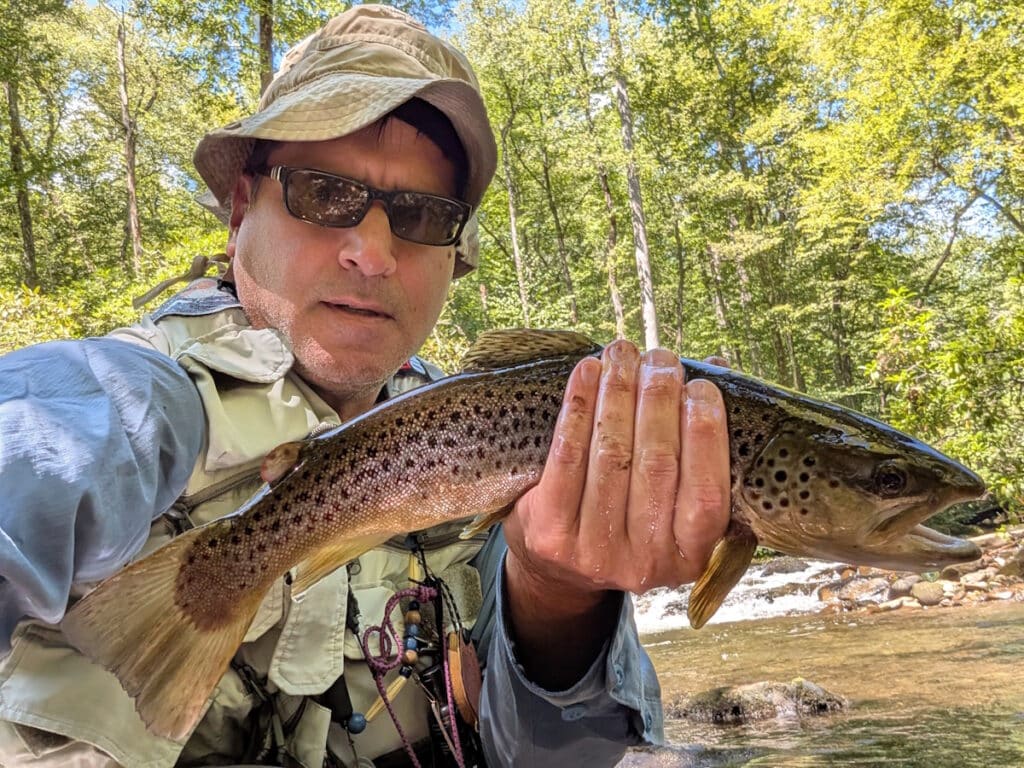 17-inch wild brown trout caught in the Deep Creek backcountry.