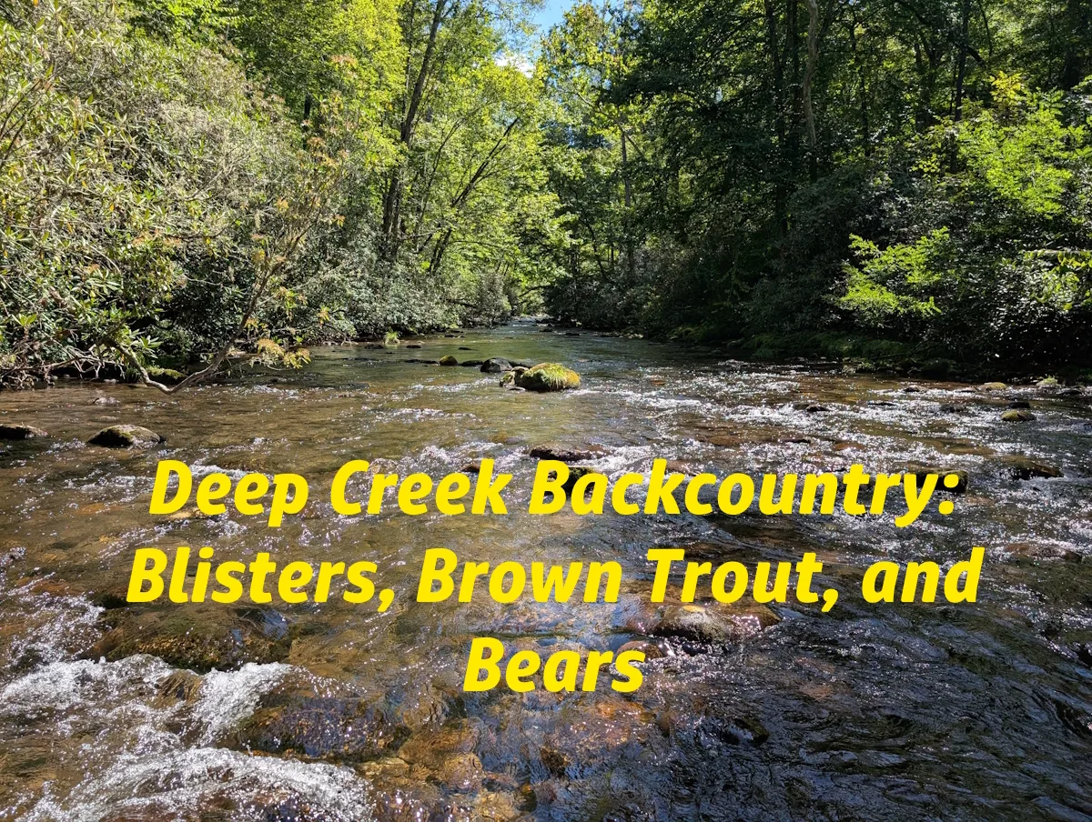 Deep Creek Backcountry: Blisters, Brown Trout, and Bears