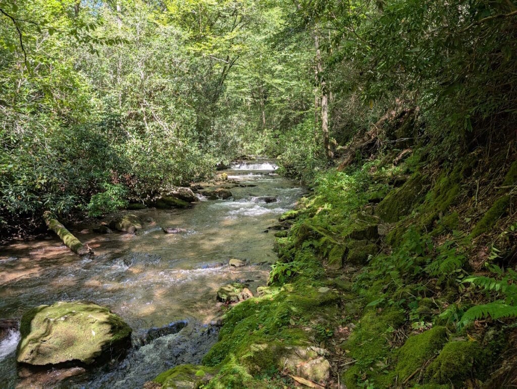 Upper Deep Creek Backcountry trail can be a bit of beat down.