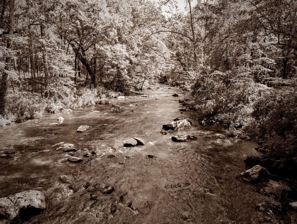 Hazel Creek is a fine trout stream.