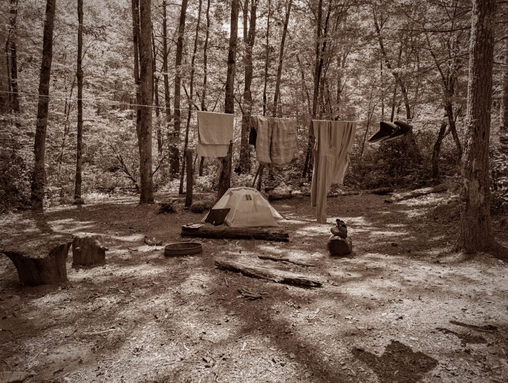 Hazel Creek campsite 84.