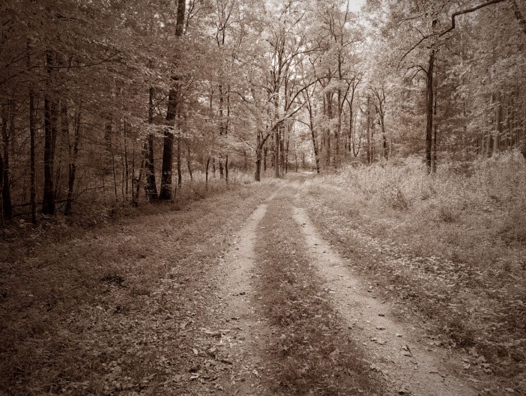 Hazel Creek trail is large enough for vehicles.